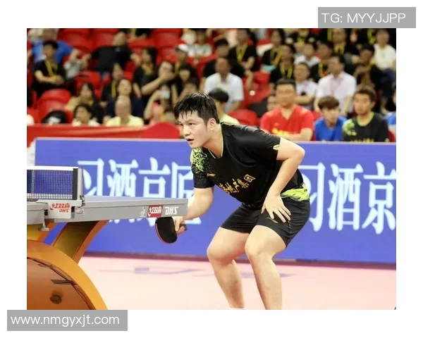 广州乒乓球队在城市联赛中的实力分析与表现评估